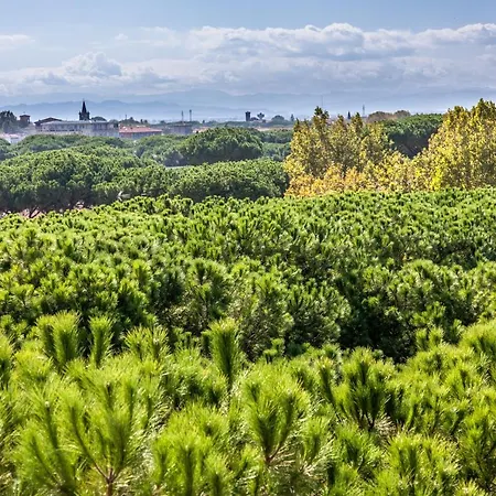 Aurelia Milano Marittima