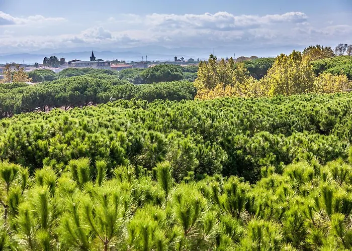 Aurelia Milano Marittima